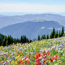 regionen/kanada/britishcolumbia/kamloops/kamloops-field.cr3492x3495-0x288 regionen/kanada/britishcolumbia/kamloops/kamloops-field.cr3492x3495-0x288