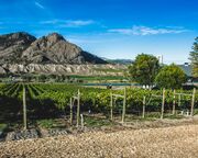 regionen/kanada/britishcolumbia/kamloops/monte-creek-ranch-winery.cr5650x3766-69x11 regionen/kanada/britishcolumbia/kamloops/monte-creek-ranch-winery.cr5650x3766-69x11