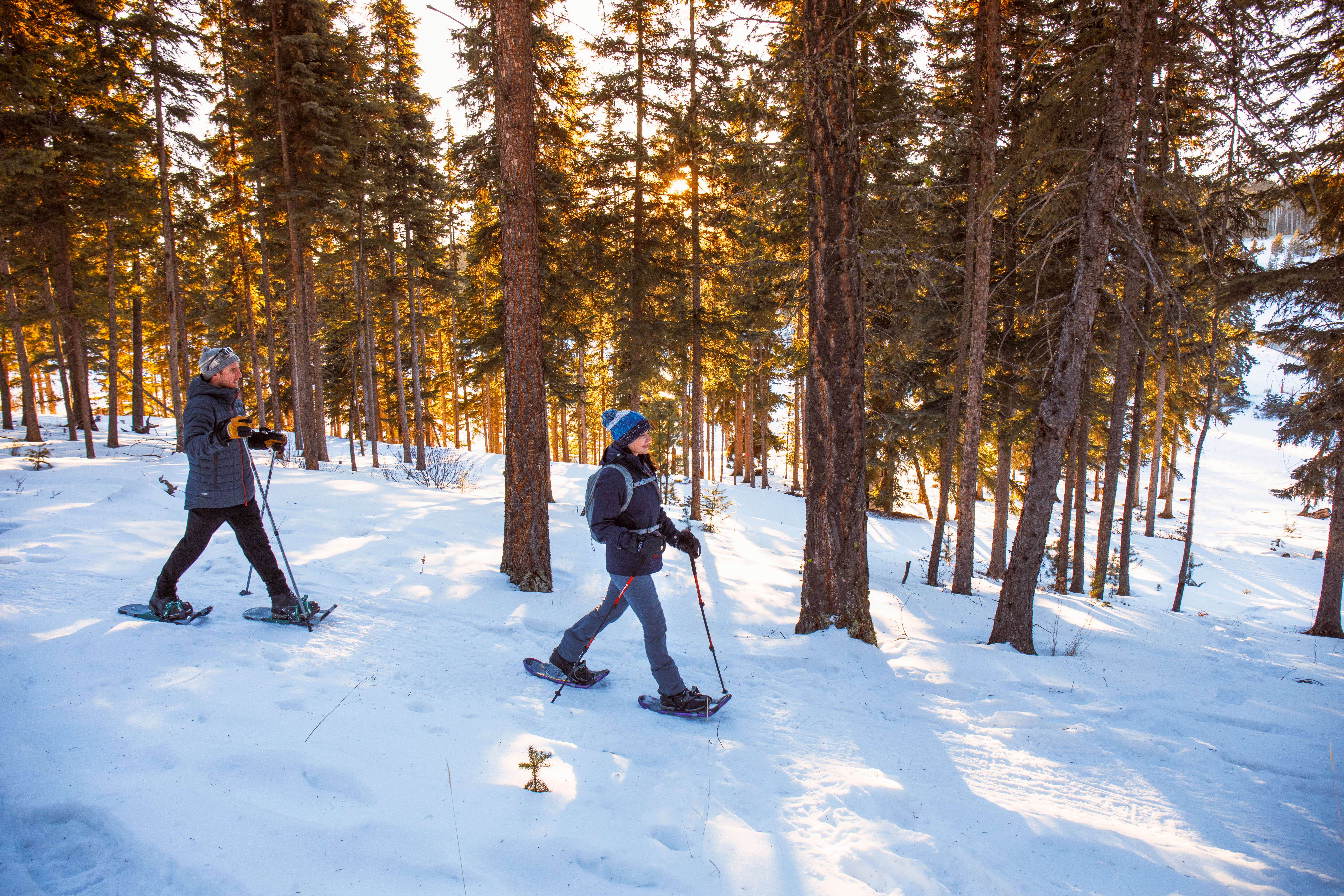 Schneeschuhwanderung durch die Winterlandschaft