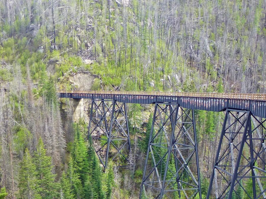 Auf der Myra Canyon Rail Bridge