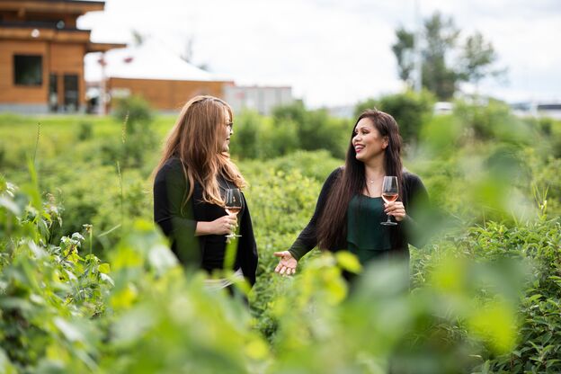 Weinwelt entdecken in der Nothern Lights Estate Winery Weinwelt entdecken in der Nothern Lights Estate Winery