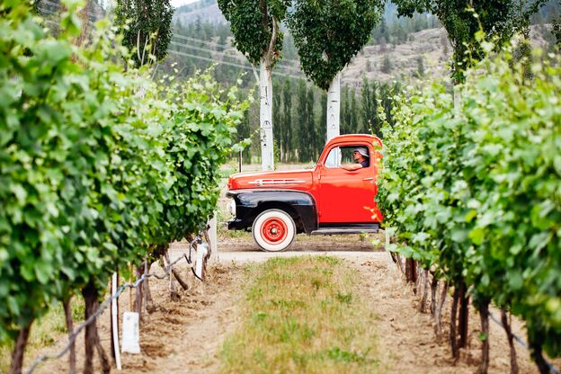 Mit dem Pickup durch die Weinberge in Oliver, Okanagan Valley Mit dem Pickup durch die Weinberge in Oliver, Okanagan Valley
