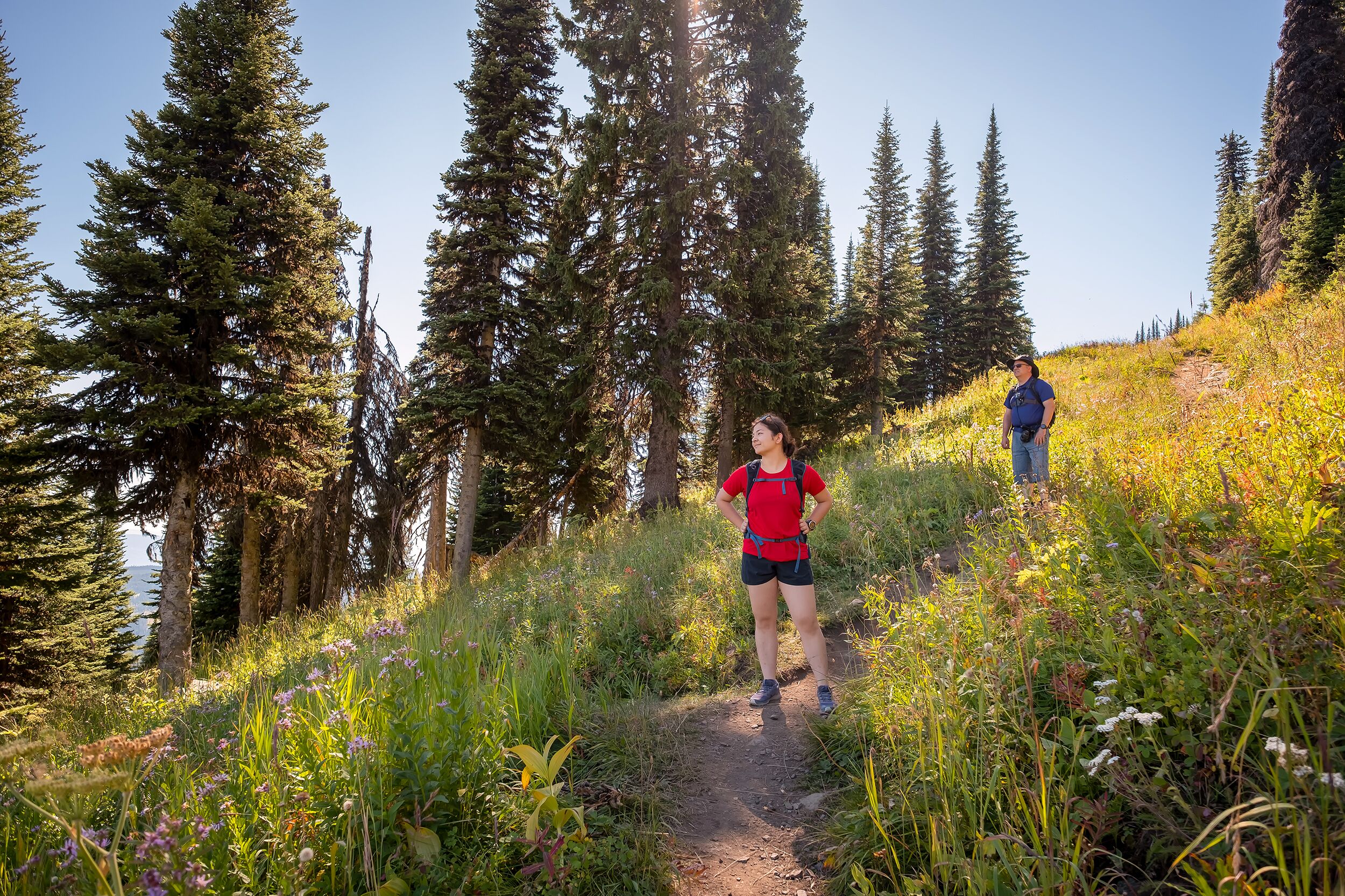 Wanderung durch Eurasian daughter Sun Peaks unternehmen