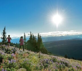 Durch die Natur von Sun Peaks joggen