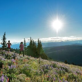 Durch die Natur von Sun Peaks joggen