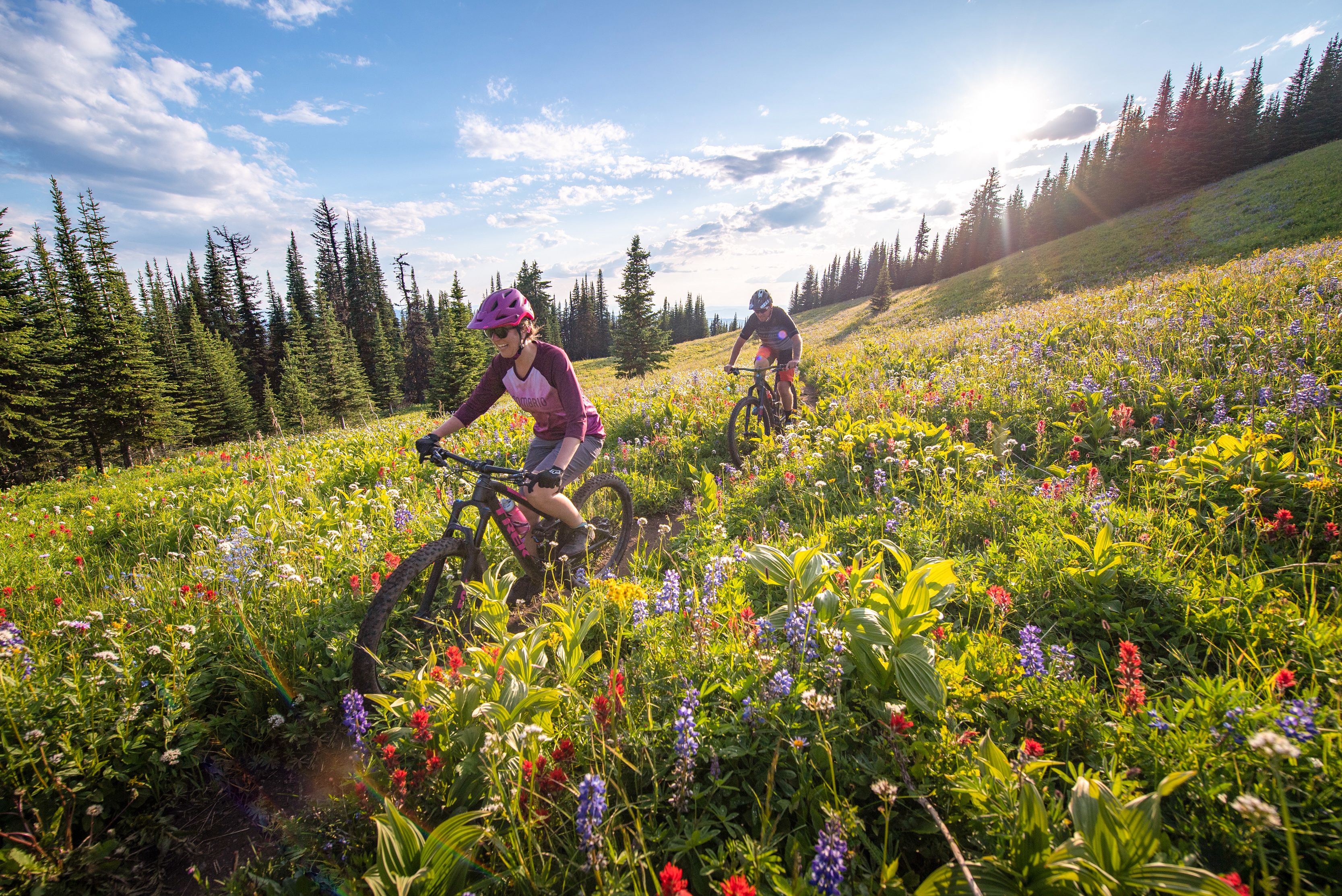 Ein Pärchen fährt mit dem Mountainbike durch blühende Wiesen in Sun Peaks