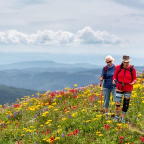 Wandern zur Zeit der Alpenblüte in Sun Peaks, British Columbia