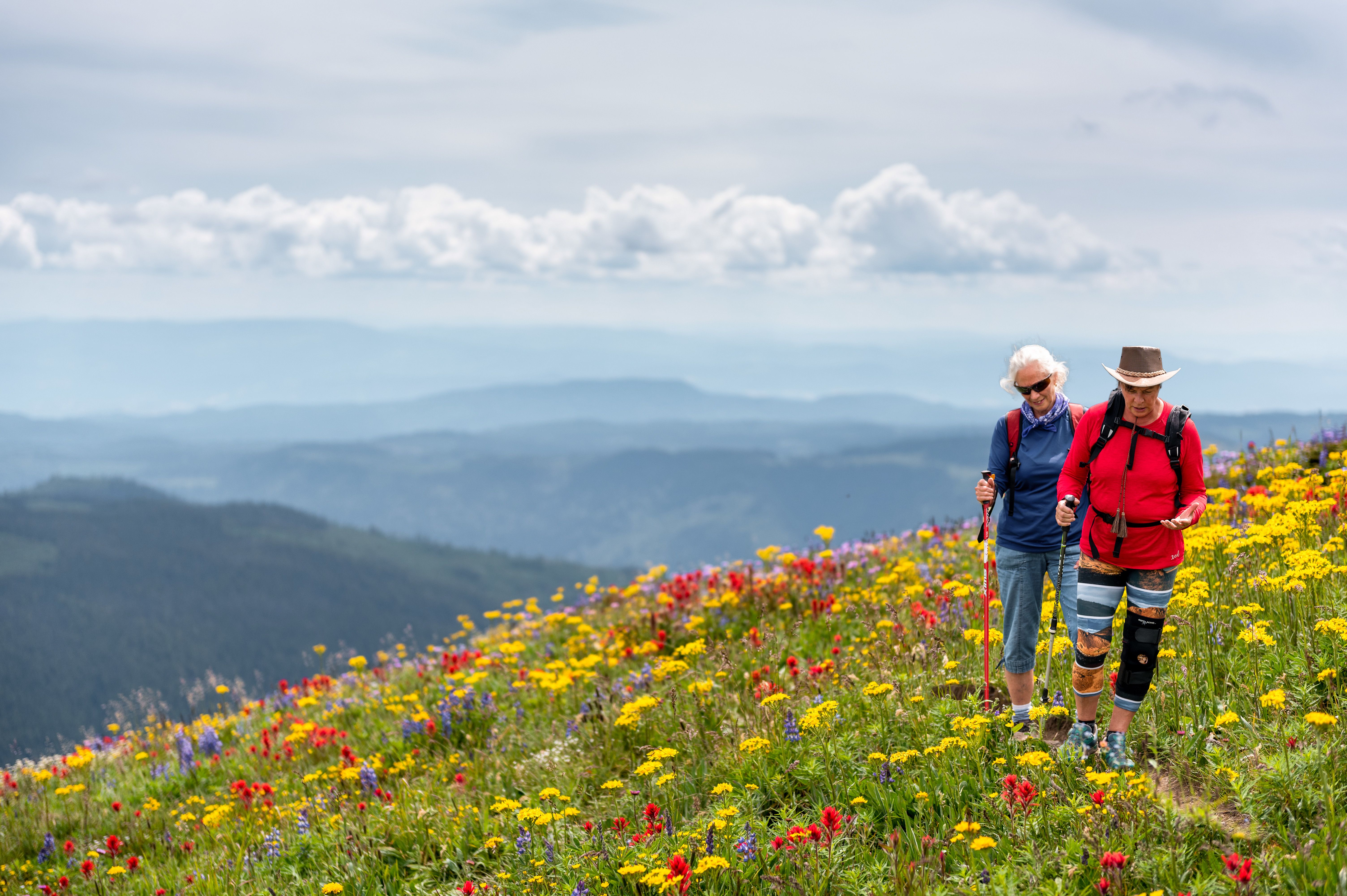 Wandern zur Zeit der Alpenblüte in Sun Peaks, British Columbia