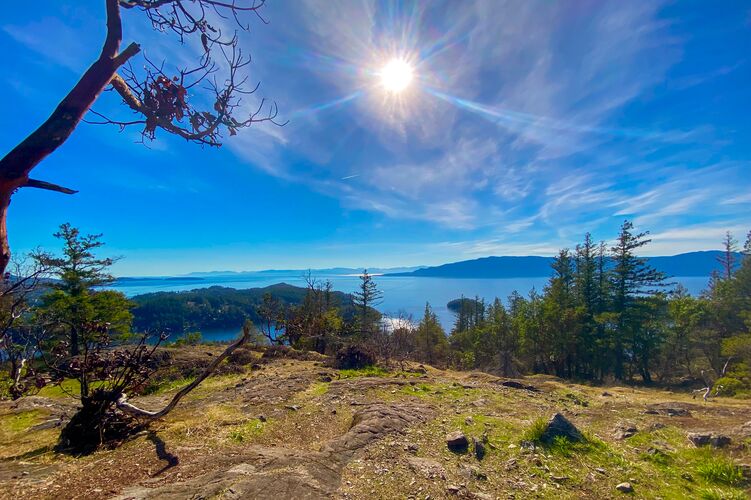 Schöne Natur am Pender Hill am Sunshine Coast im British Columbia