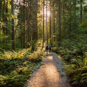 Ein Vater uns seine Tochter gehen spazieren im Mt. Seymour Provincial Park bei North Vancouver, British Columbia