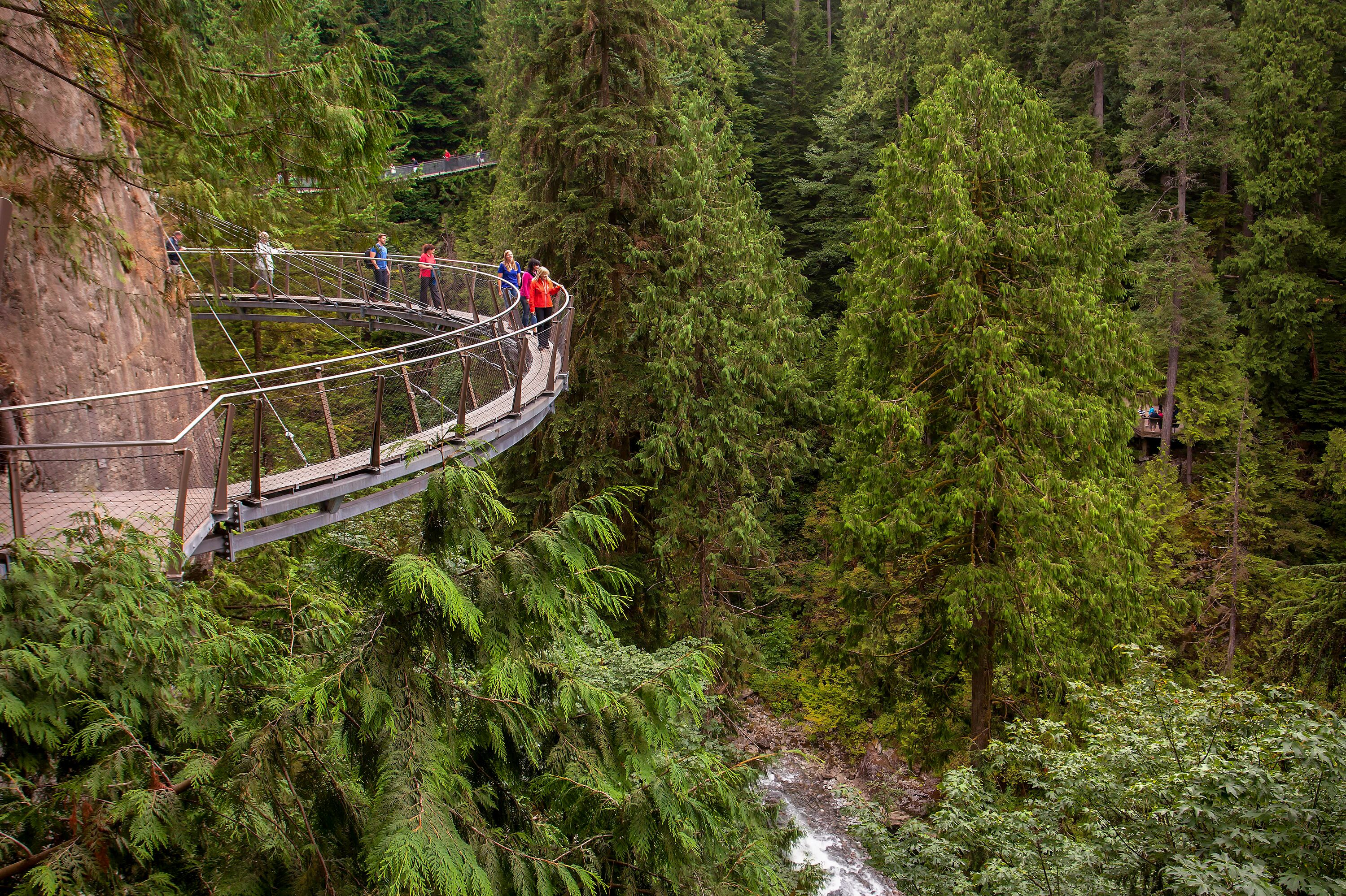 Auf der Capilano Suspension Bridge die Natur entdecken