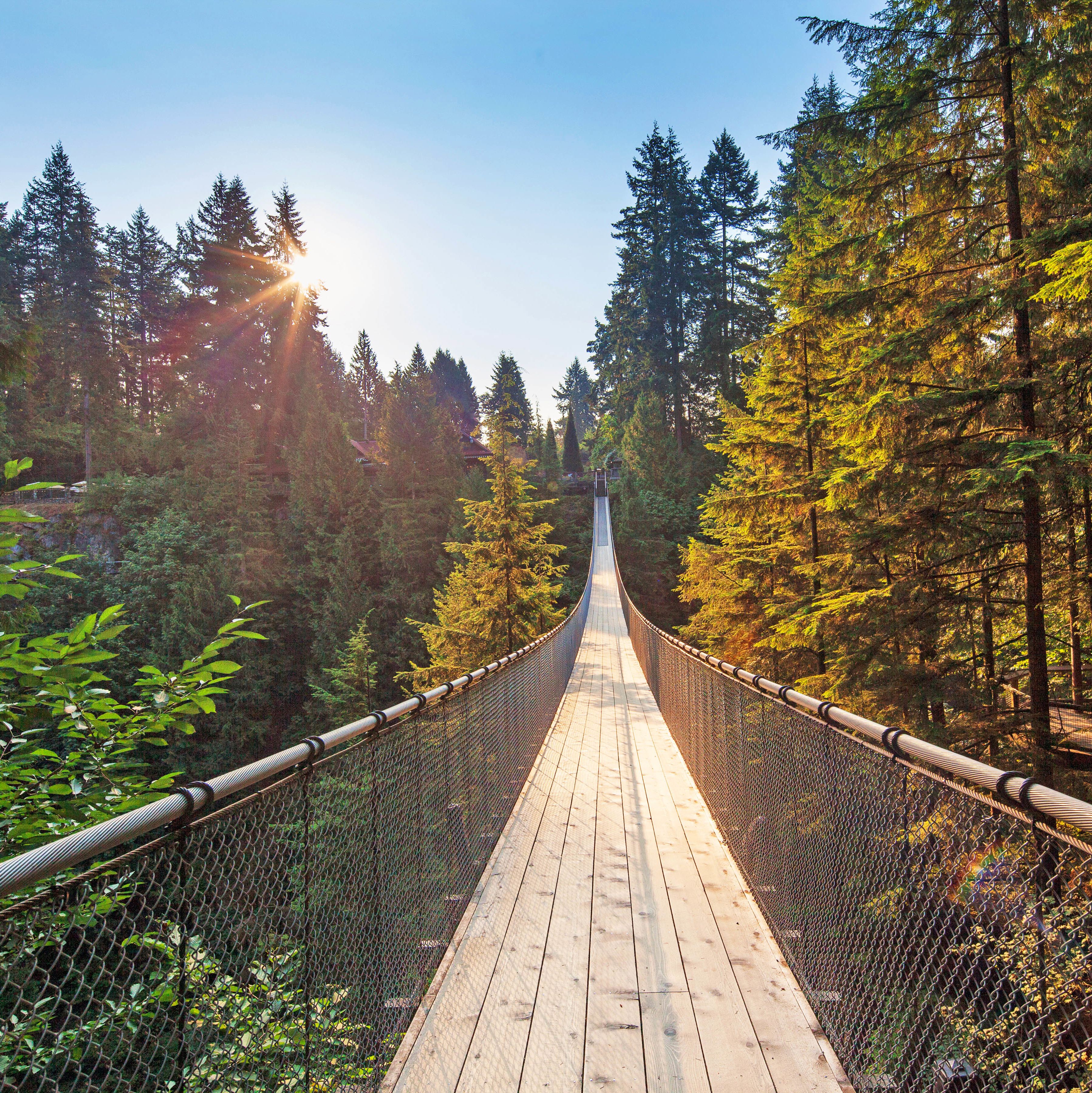 Sonnenaufgang Ã¼ber der Capilano Suspension Bridge, British Columbia