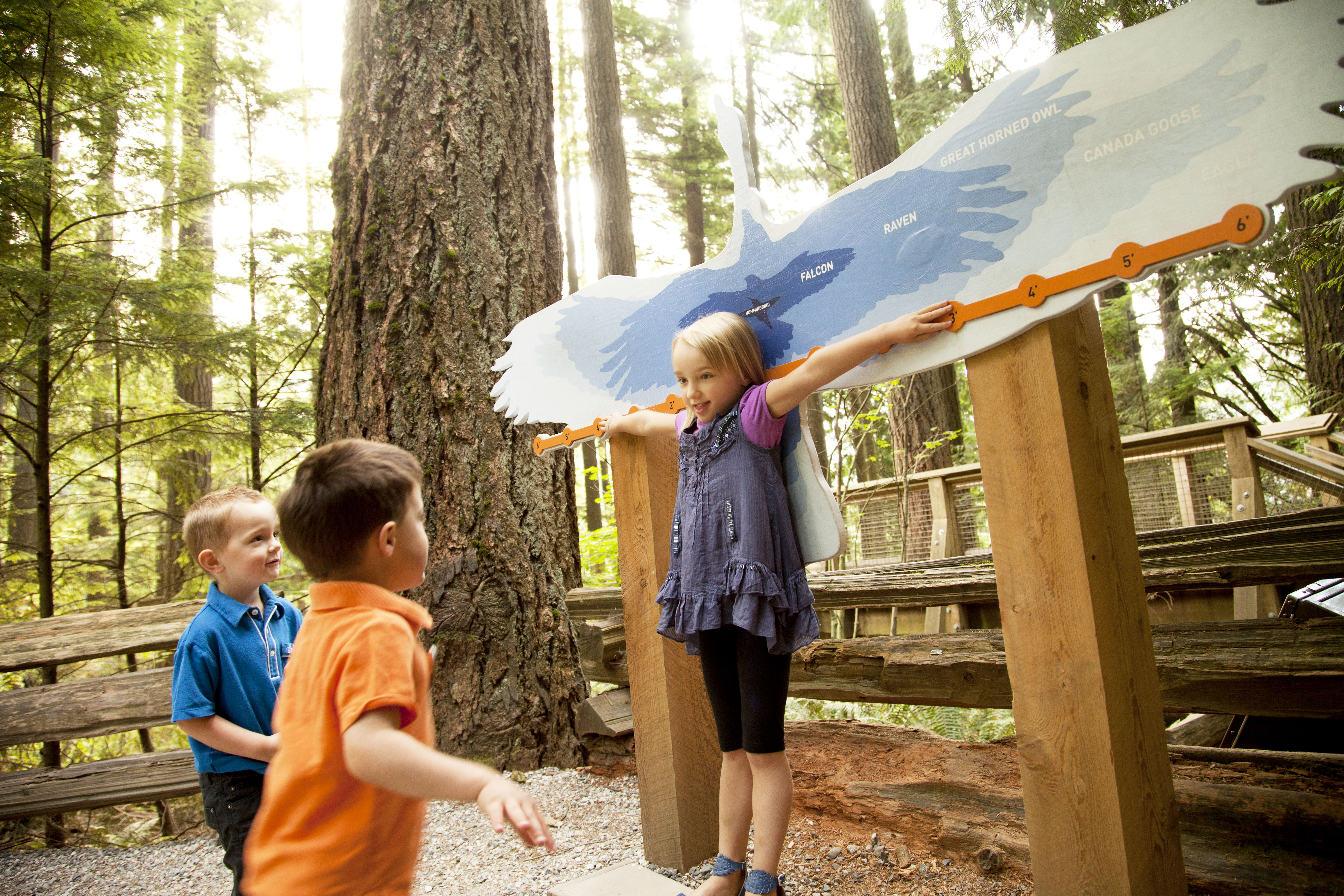 Wingspan im Capilano Suspension Bridge Park in Vancouver, British Columbia