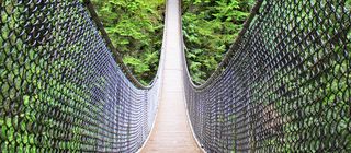 regionen/kanada/britishcolumbia/vancouver/lynn-canyon-park/suspension-bridge.cr3456x1514-0x3159