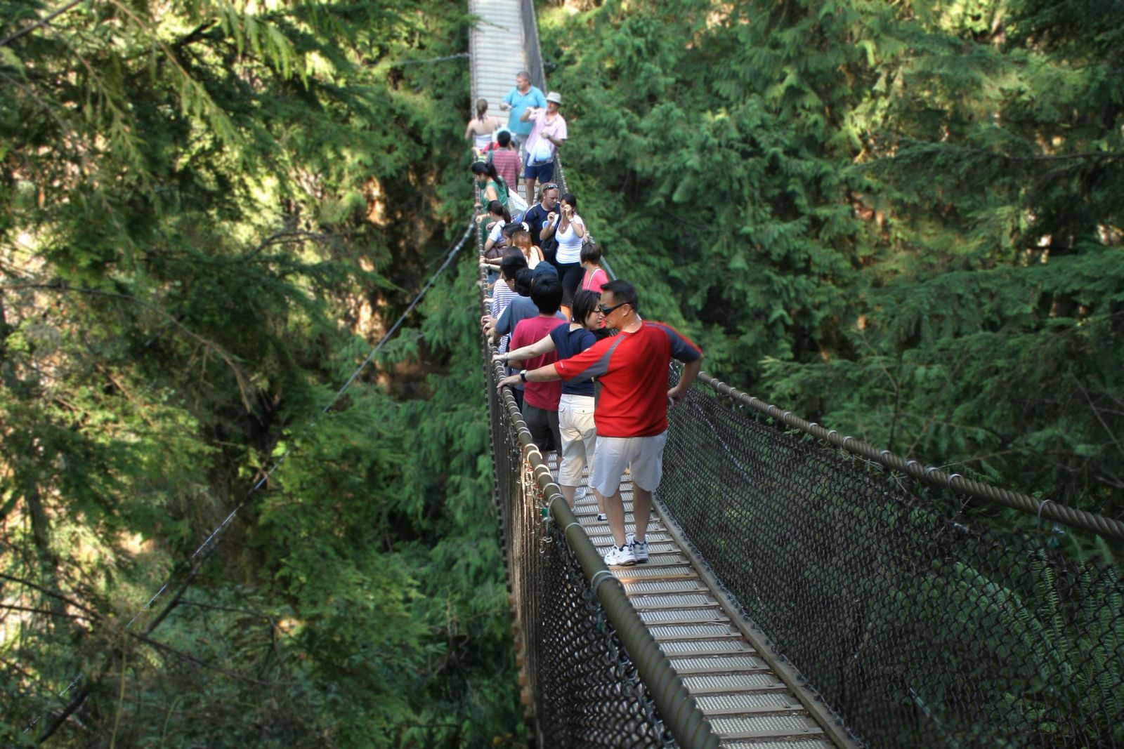 Lynn Canyon Suspension Bridge in North Vancouver