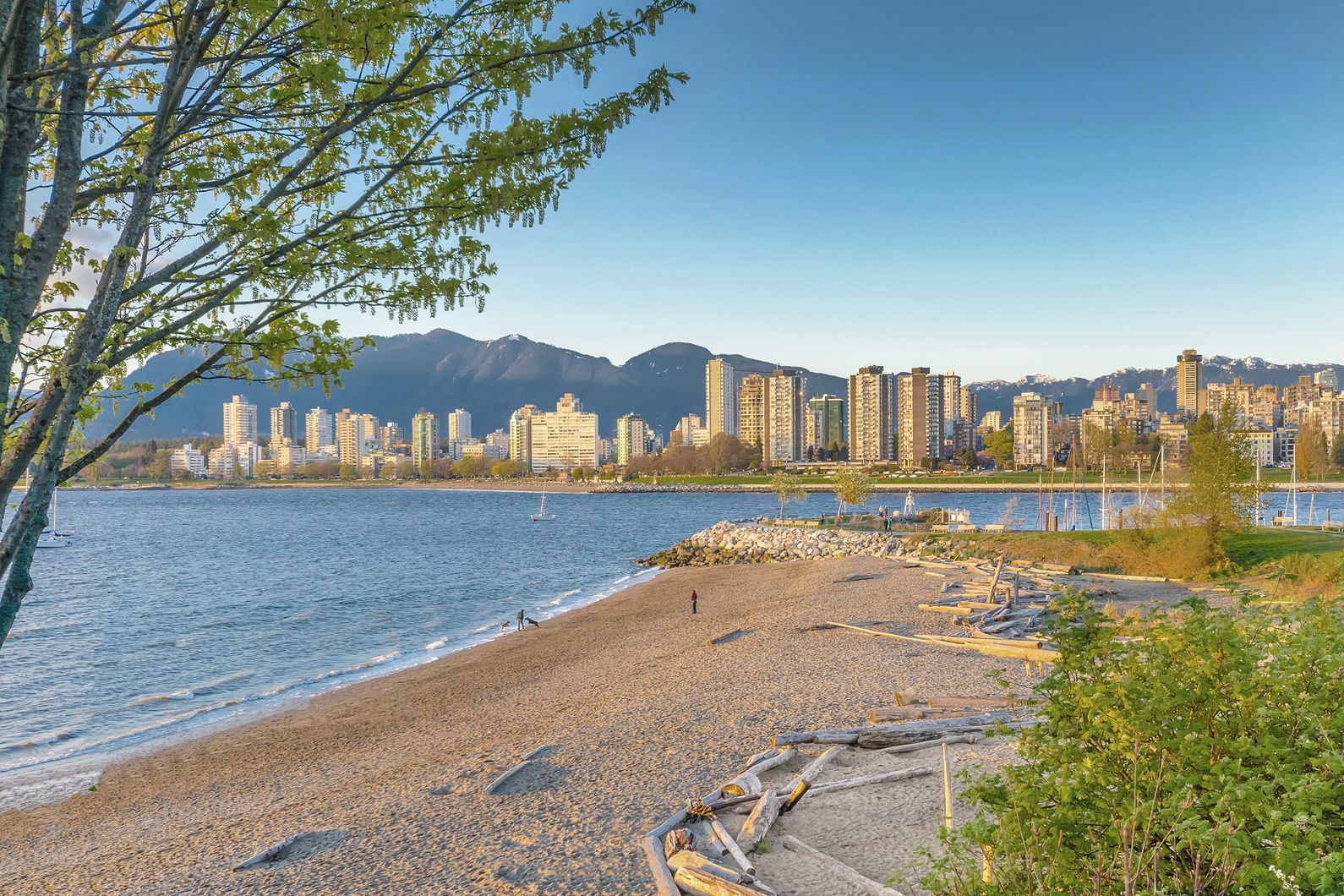 Kitsilano Beach in Vancouver, British Columbia