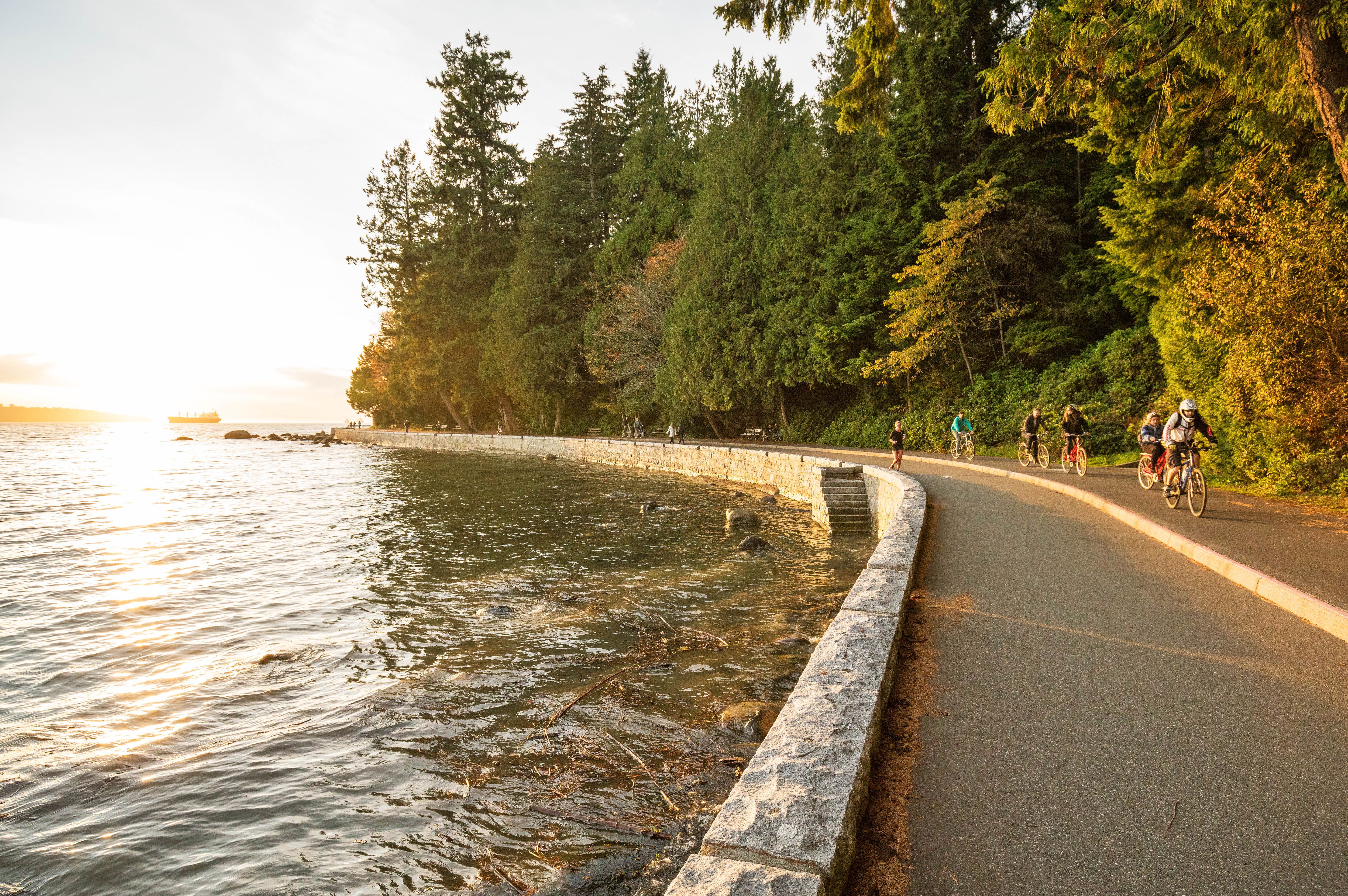 Golden Hour im Stanley Park an der Seawall in Vancouver, British Columbia