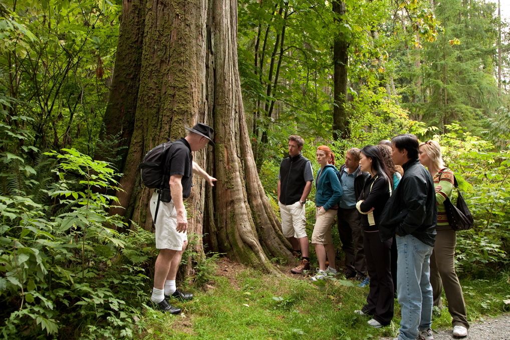 Vanvouver Rockwood Rainforest Adventure