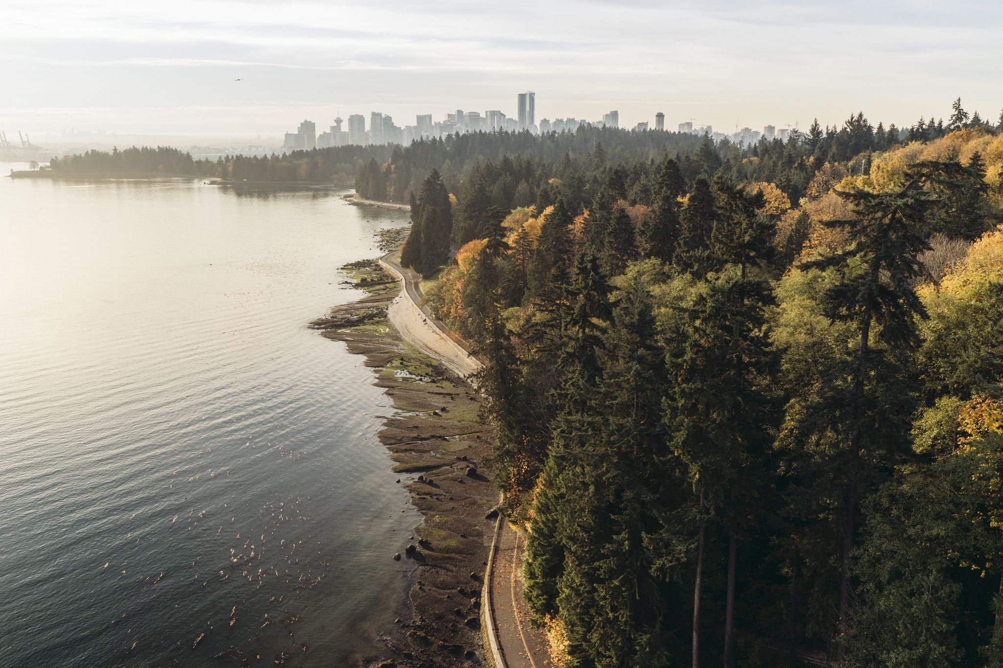 Der Stanley Park in Vancouver