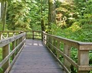 regionen/kanada/britishcolumbia/vancouverisland/cathedral-cove-weg.cr2932x1284-0x621 regionen/kanada/britishcolumbia/vancouverisland/cathedral-cove-weg.cr2932x1284-0x621