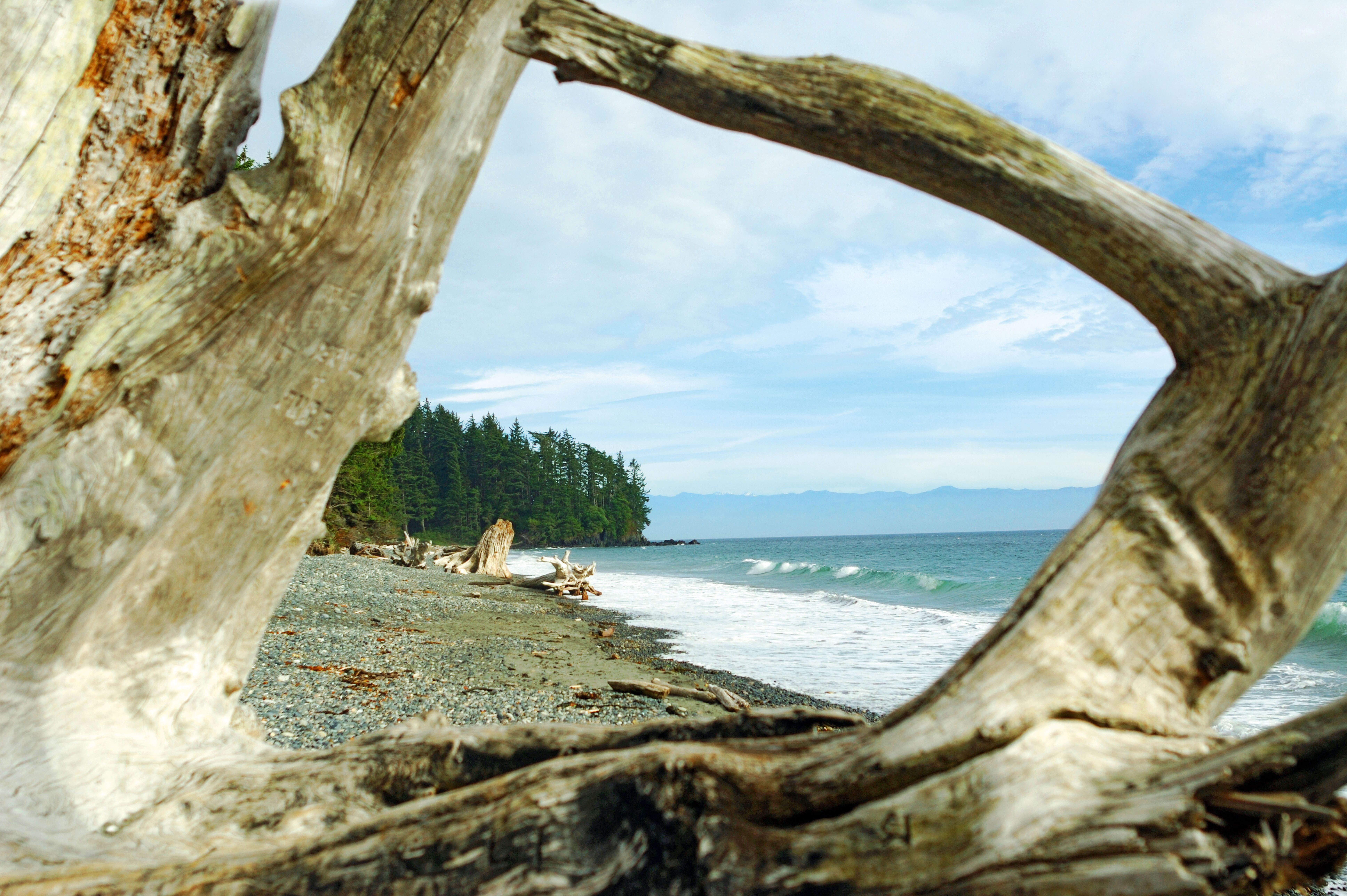 Pacific Rim National Park