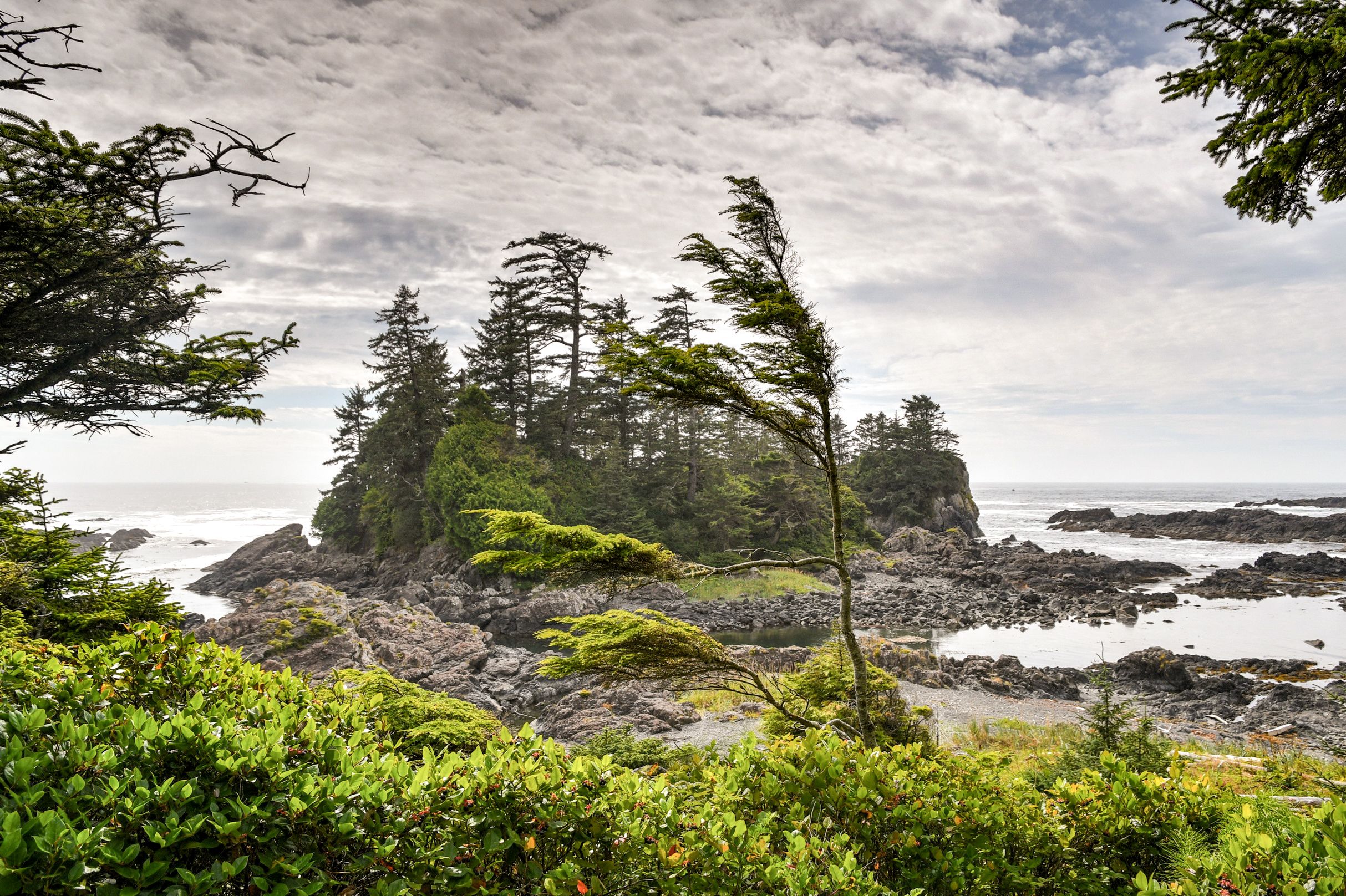 Ein Teil des Pacific Rim Nationalparks auf Vancouver Island, Kanada