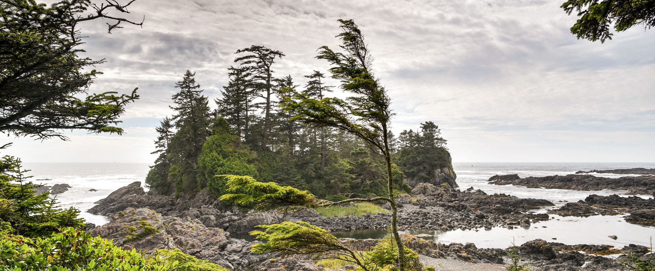 Ein Teil des Pacific Rim Nationalparks auf Vancouver Island, Kanada