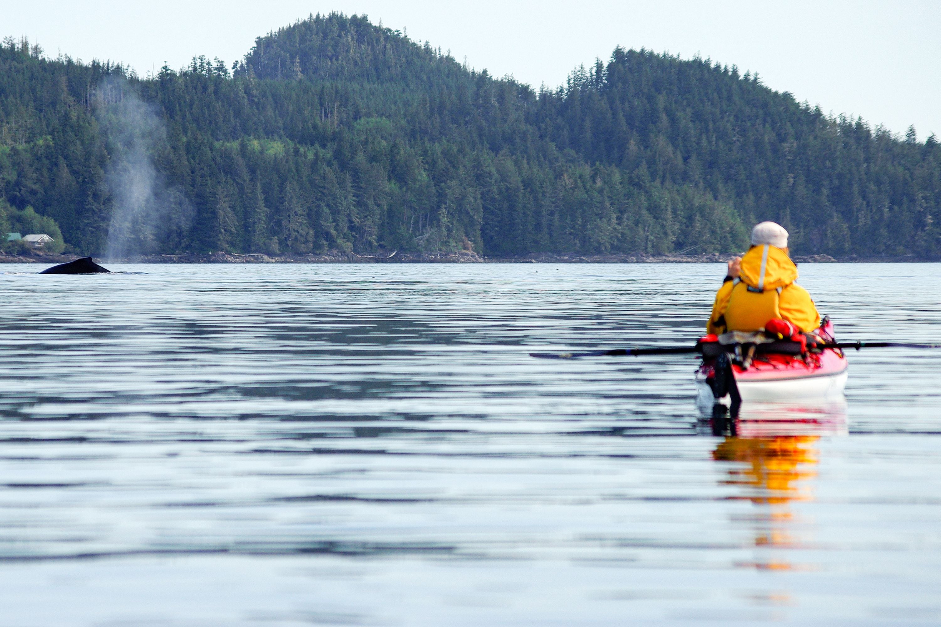 Kajaktour beim Kingfisher Wilderness Adventure