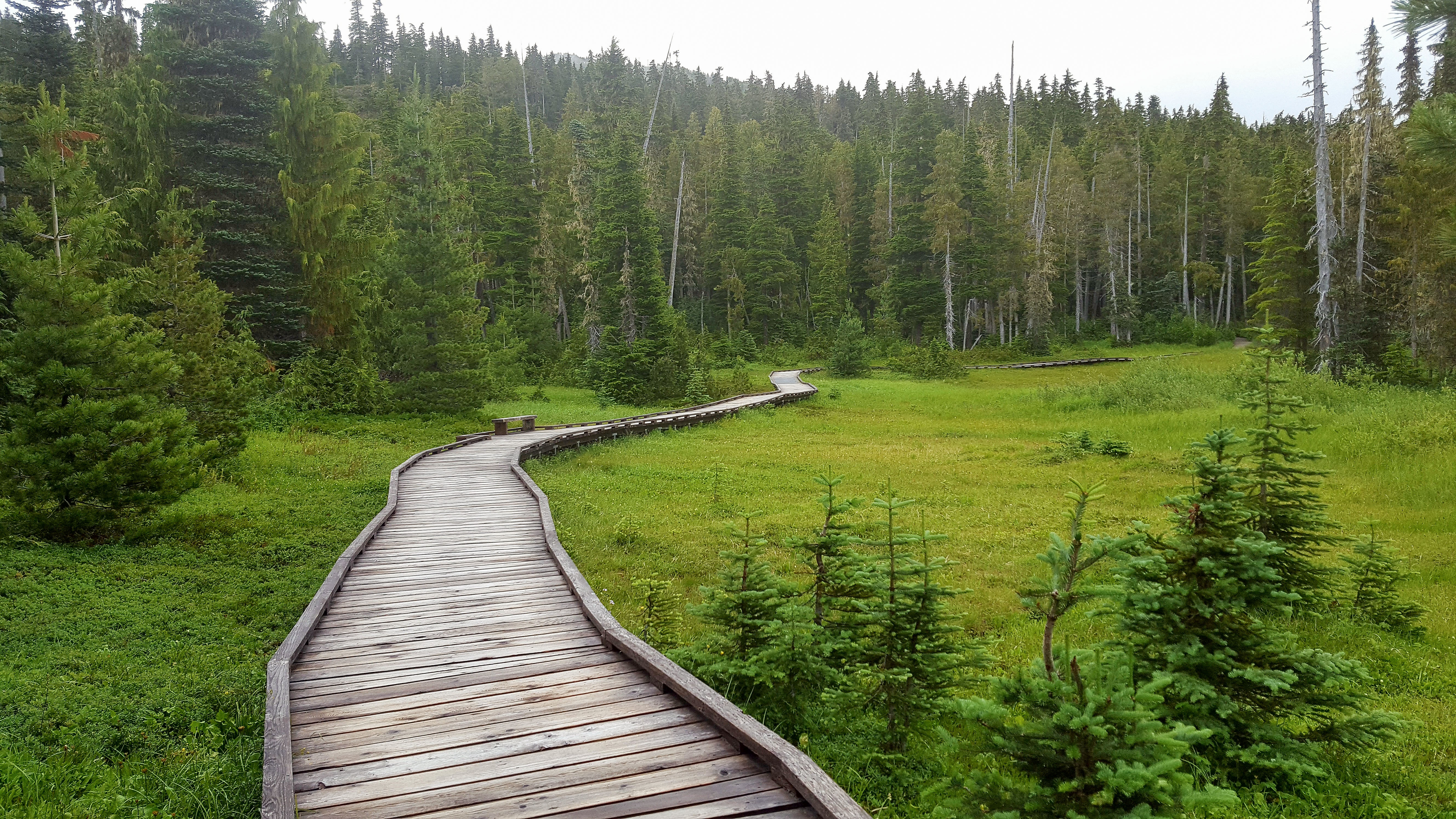 CANUSA-Mitarbeiterin Maja Sebode im Strathcona Provincial Park