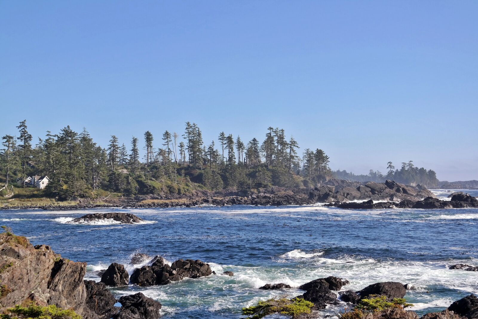 KÃ¼ste bei Ucluelet
