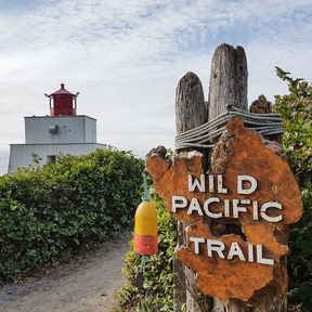 Wild Pacific Trail in Tofino