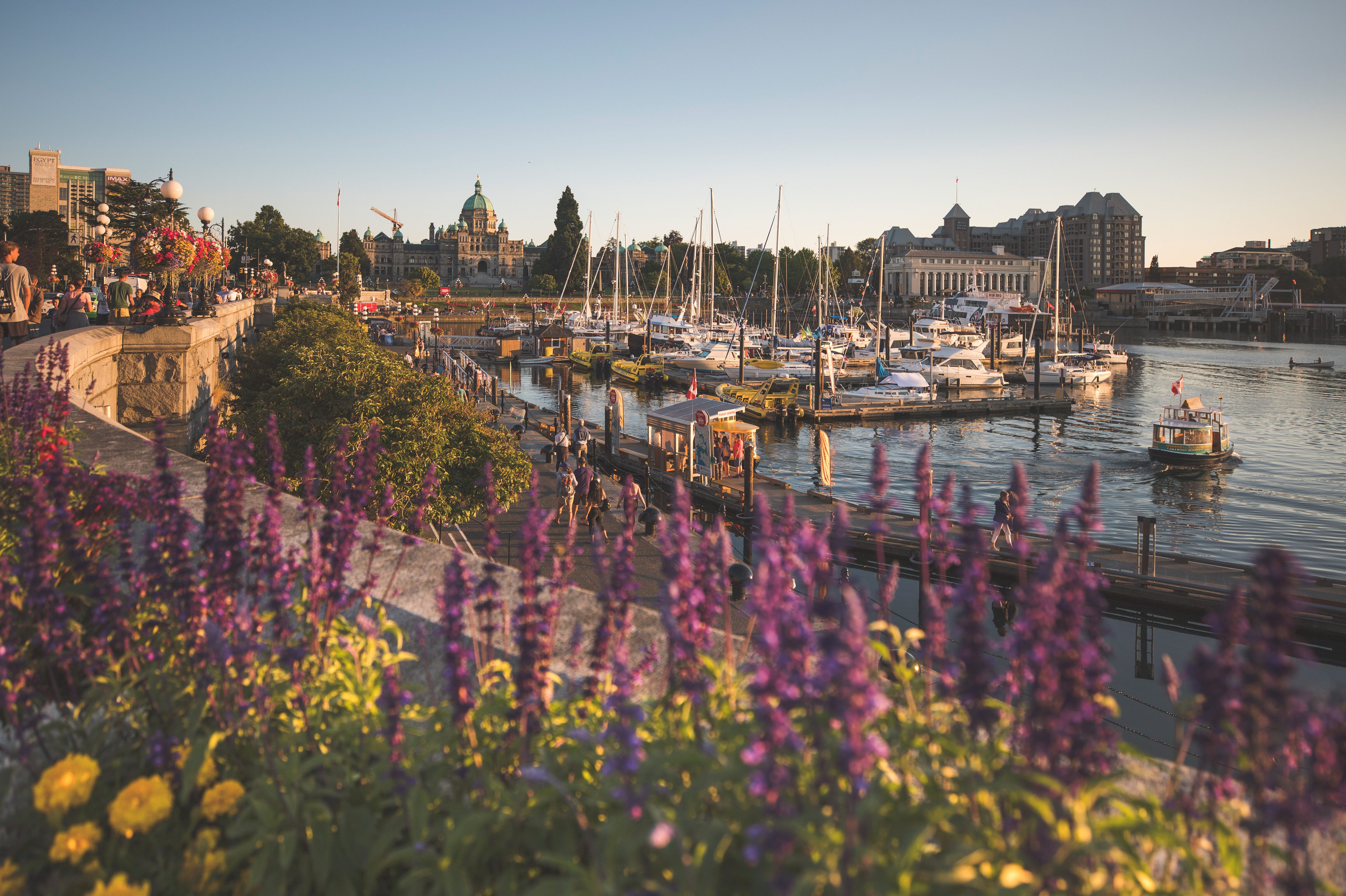 Der Inner Harbour in Victoria im Sommer