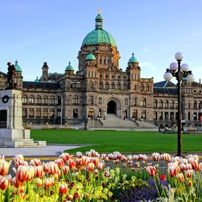 Blumen blühen vor dem Parlamentsgebäude von British Columbia in Victoria, British Columbia