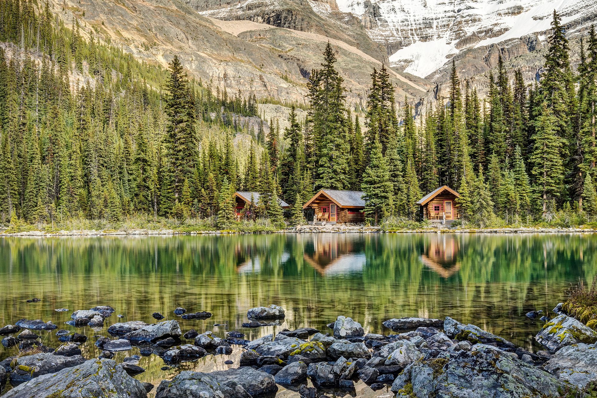 Blick auf den Lake O'Hara im Yoho National Park