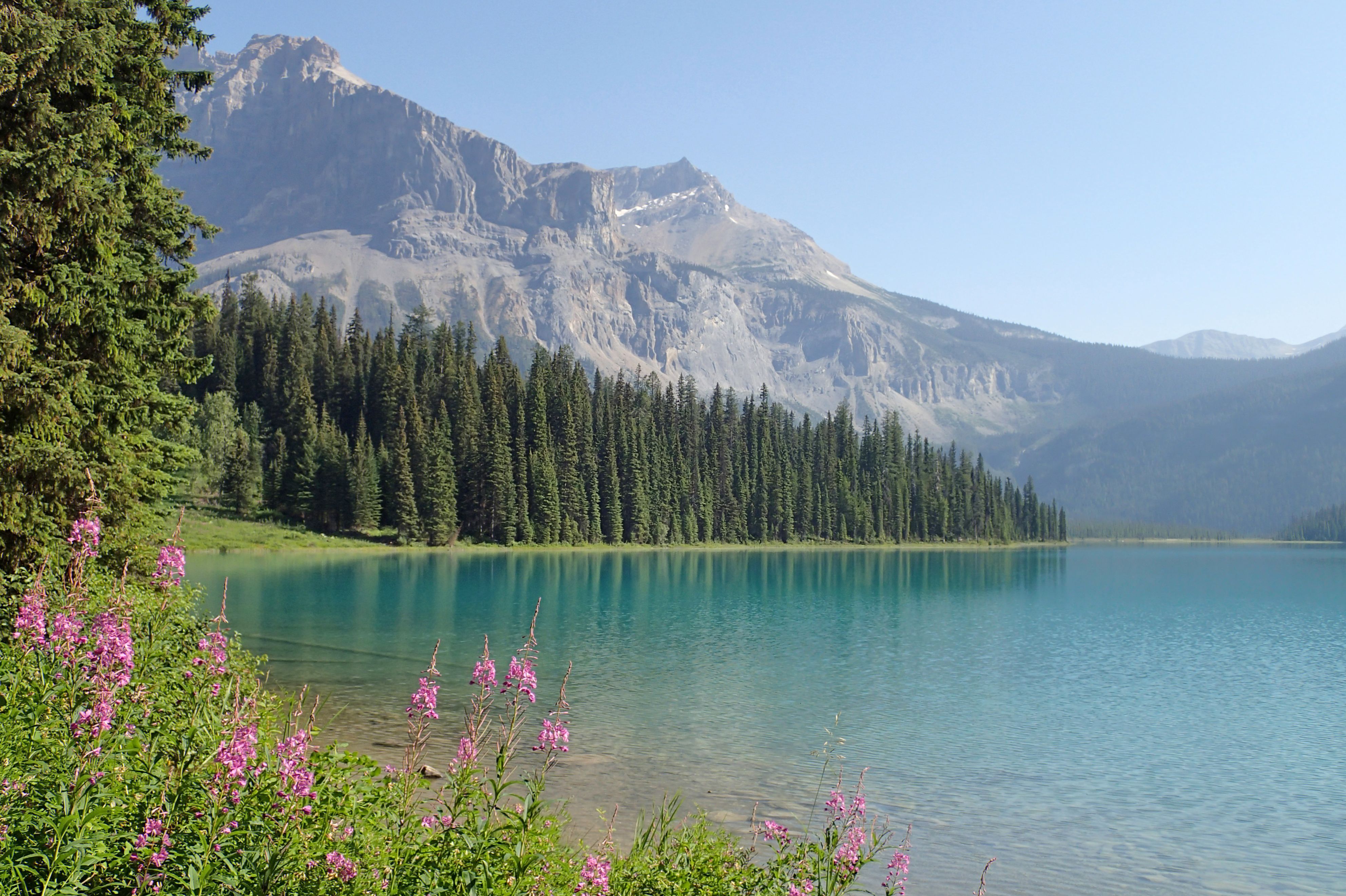 Aussicht auf dem Emerald See im Yoho Nationalpark in British Columbia