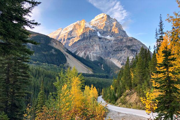 Eine Straße führt durch den Yoho Nationalpark, Britisch Kolumbien Eine Straße führt durch den Yoho Nationalpark, Britisch Kolumbien