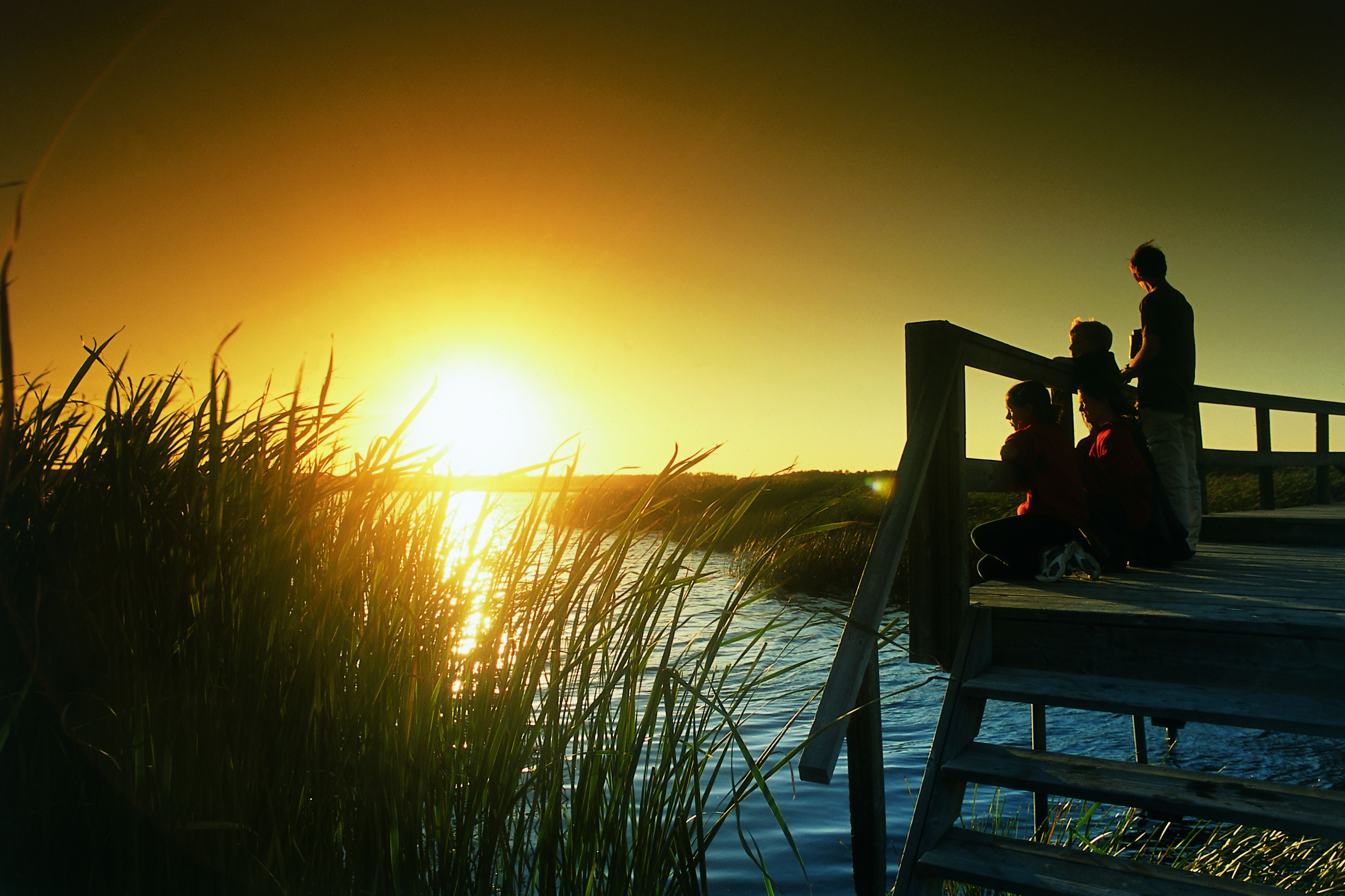 Im Portia Marsh Interpretive Centre