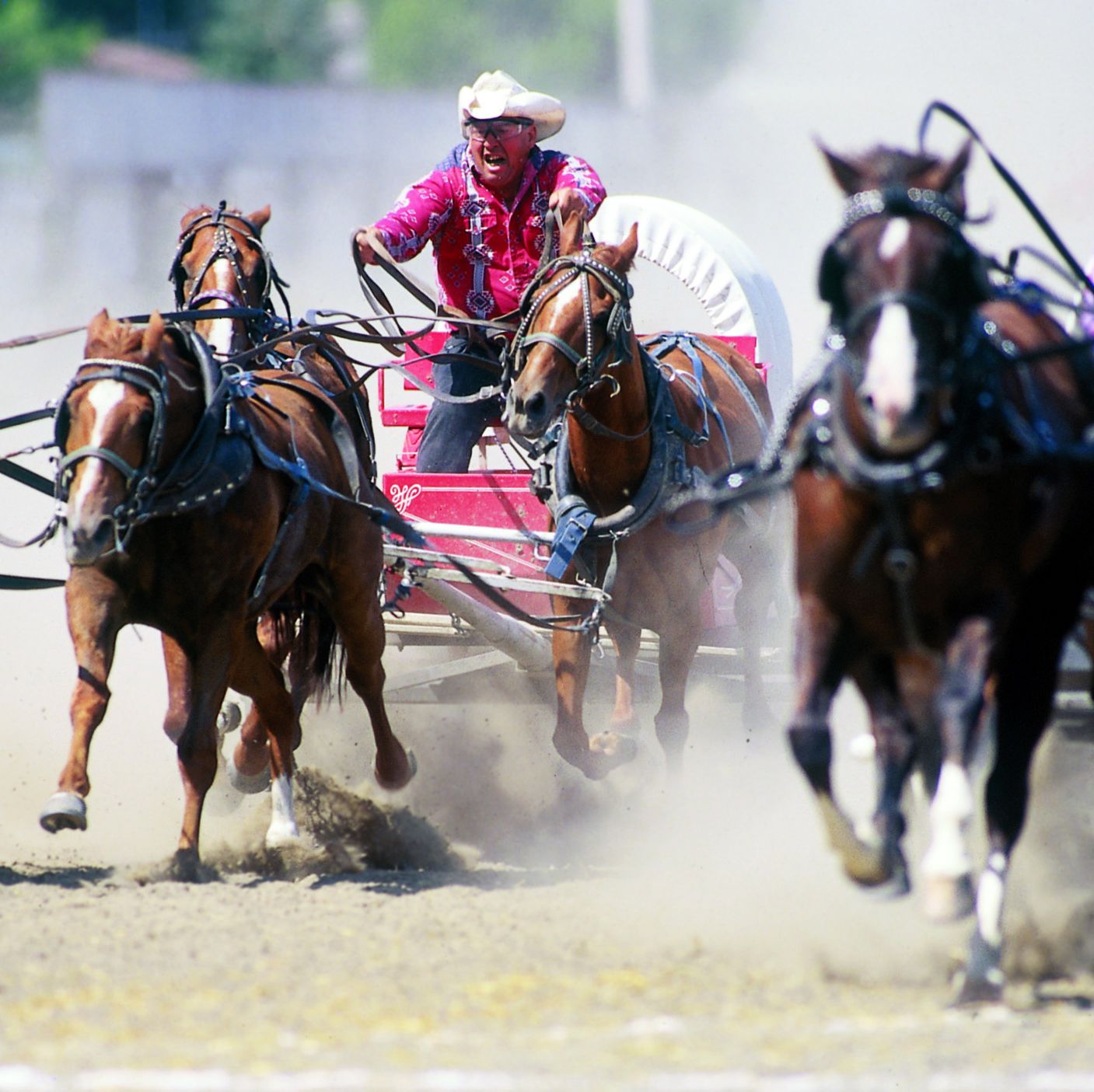 Stampede Off to the Races