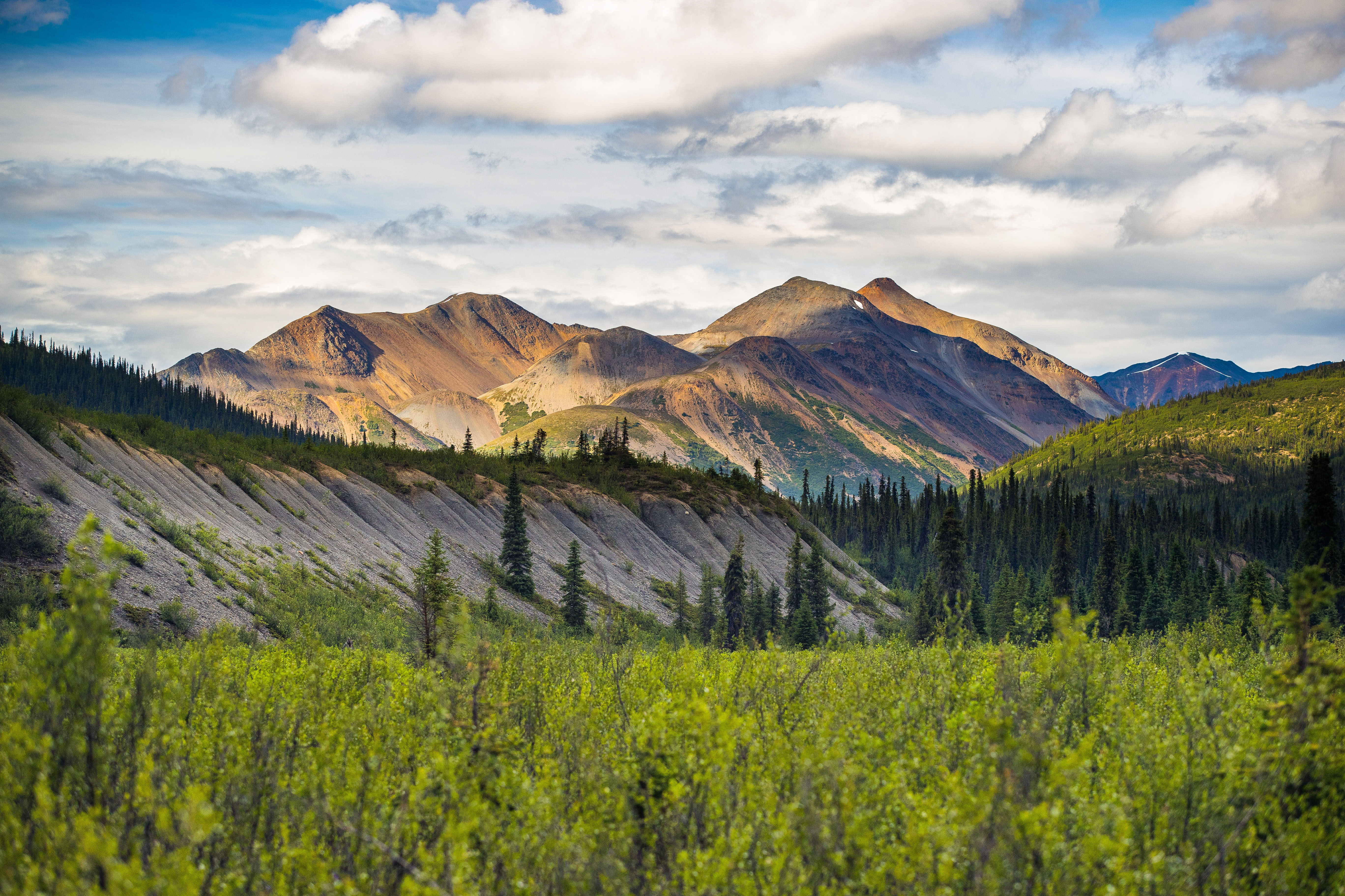 regionen/kanada/nordregionen/northwestterritories/allgemein/colin-field-nwt-blackfeather