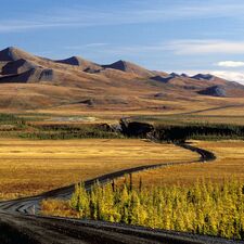regionen/kanada/nordregionen/northwestterritories/allgemein/dempster-highway-huegel.cr1367x1367-303x3 regionen/kanada/nordregionen/northwestterritories/allgemein/dempster-highway-huegel.cr1367x1367-303x3