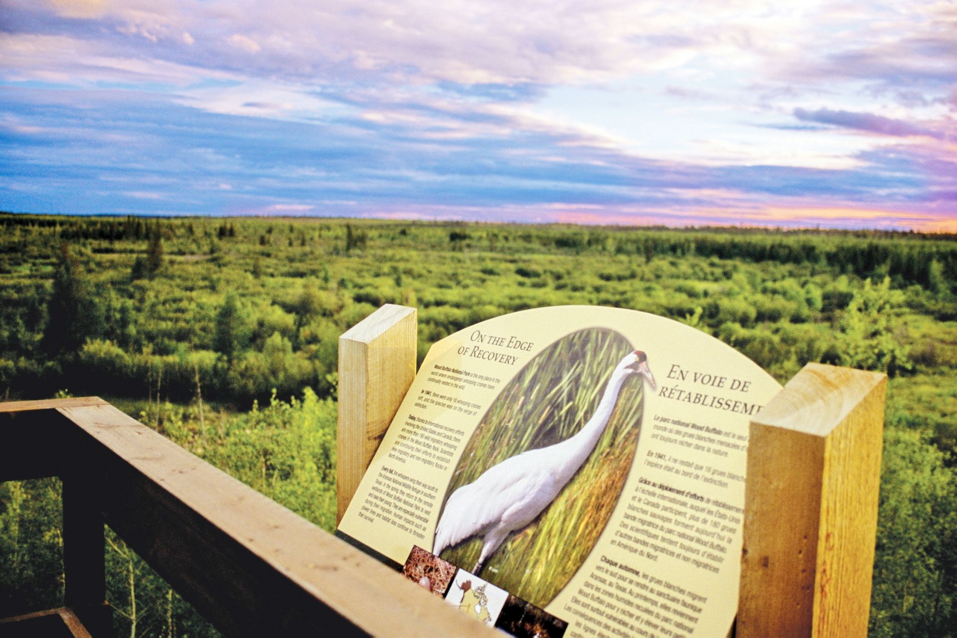 Aussichtspunkt Wood Buffalo Park, Northwest Territories