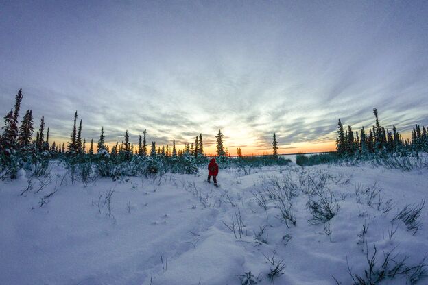 Durch den hohen Schnee stapfen bei einer Snowshoeing Tour am Mackenzie Delta in Inuvik