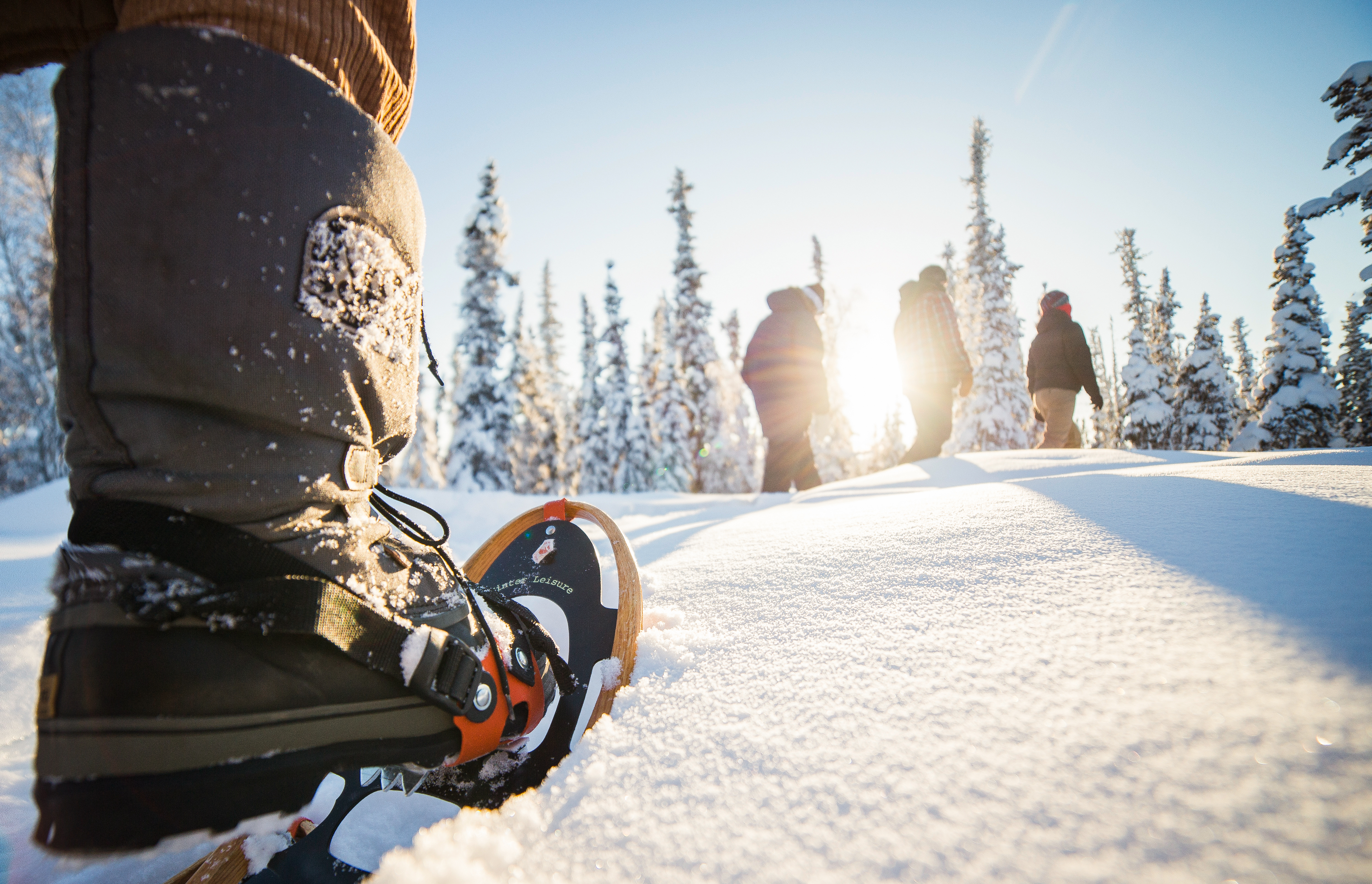 Ein Skifahrer, der die winterliche Berglandschaft von Yellowknife erkunden möchte