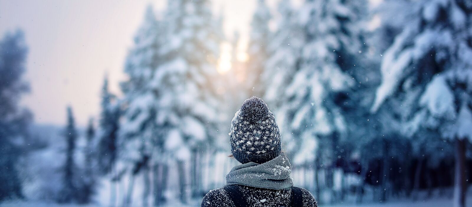 Der Blick eines Wanderers auf die von Schnee geschmückten Tannen