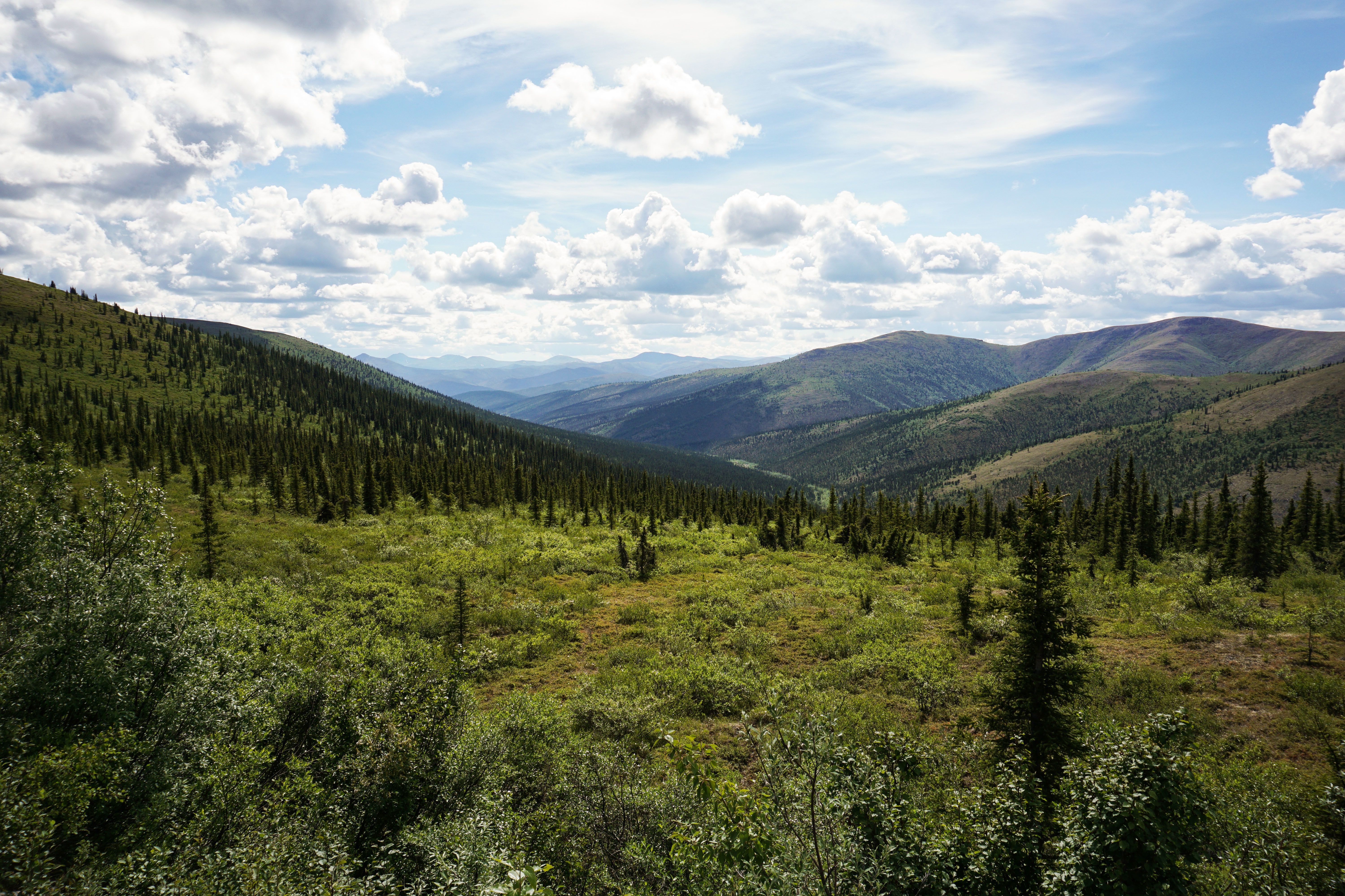 Der Ausblick vom Top of the World Highway
