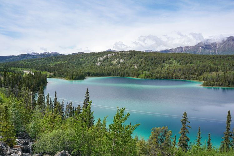 Der Blick vom Klondike Highway auf den Emerald Lake in Yukon