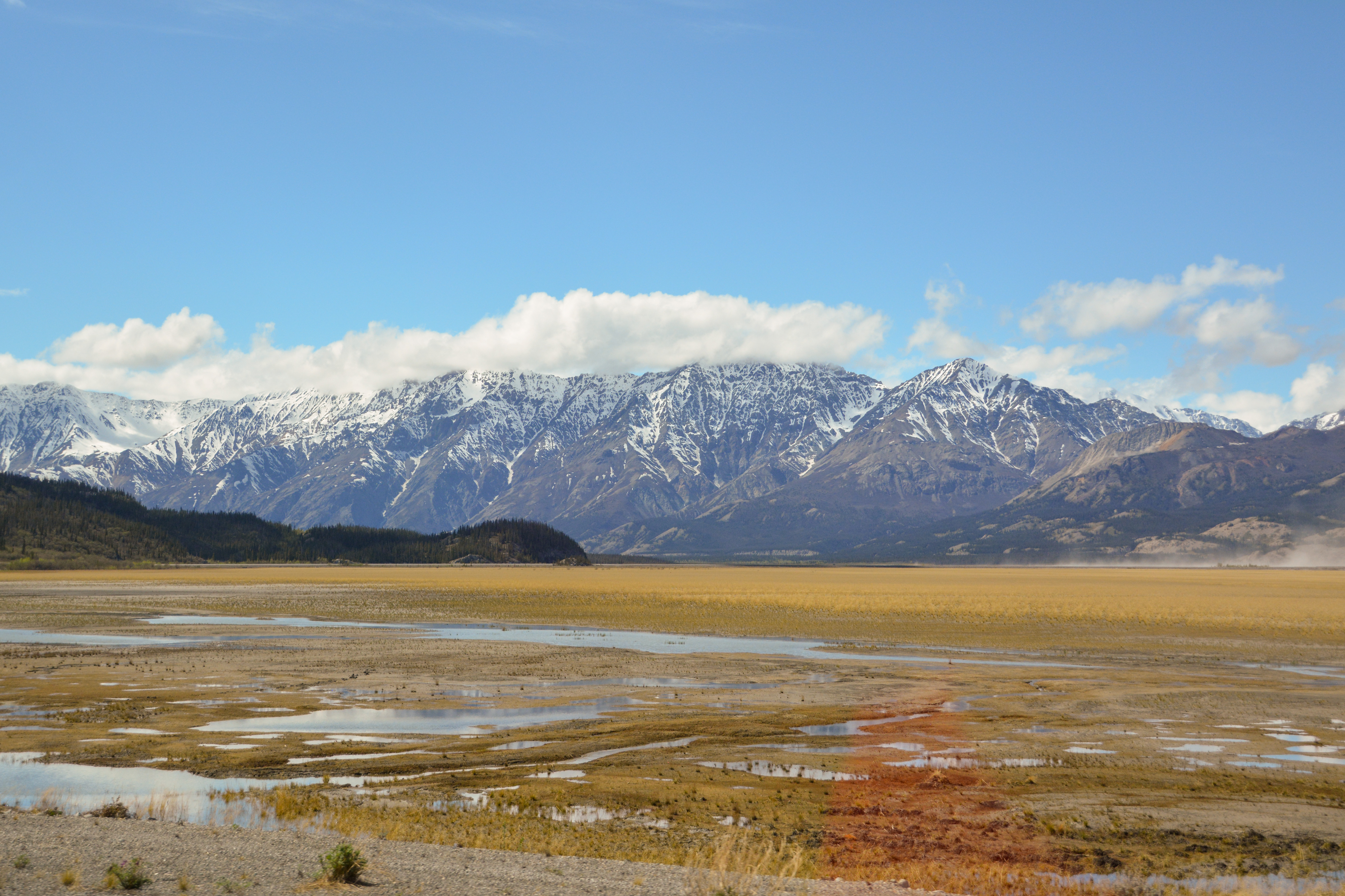 Blick zu den Sheep Mountains im Yukon