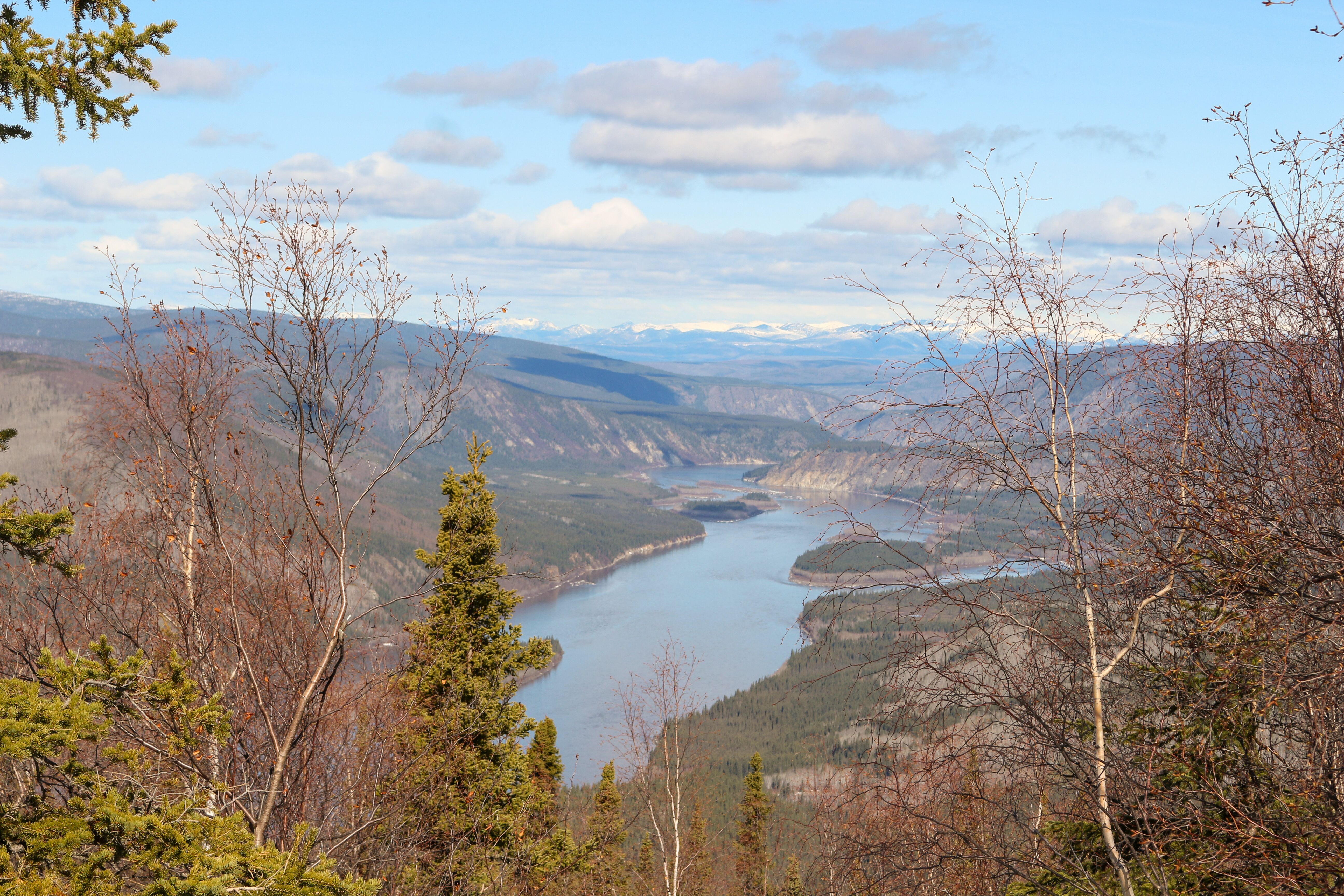 Wanderung zum Midnight Dome mit traumhaftem Blick auf Dawson City im Yukon