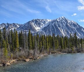 Aussicht auf das Bergpanorama des Kluane National Parks
