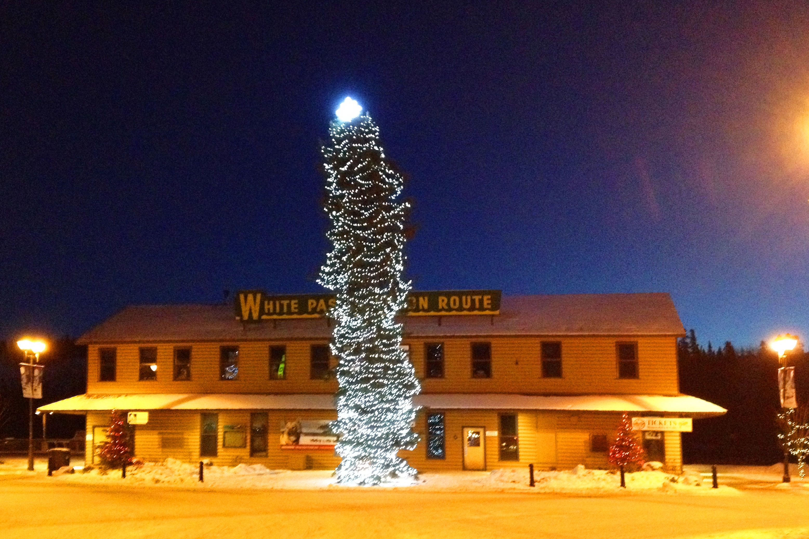 Leuchtender Weihnachtsbaum bei Nacht in Whitehorse